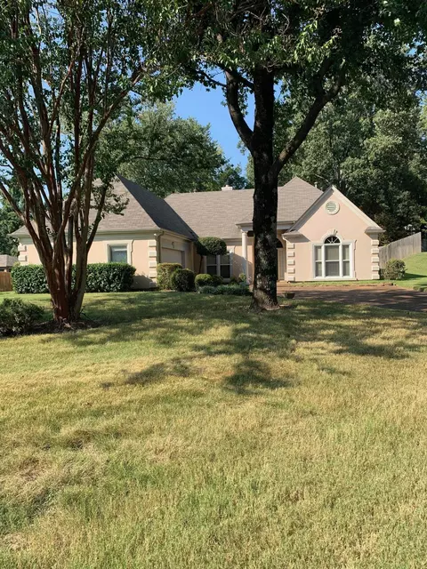 8916 Cedar Mills Cv, Memphis, TN 38016