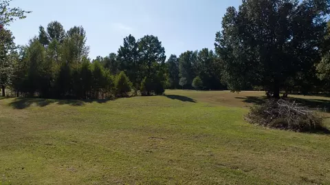 4671 Oak Rd, Arlington, TN 38002 photo 37