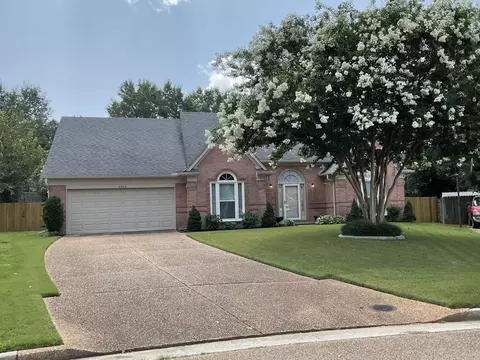 8703 Sandy Hill Cv E, Memphis, TN 38018