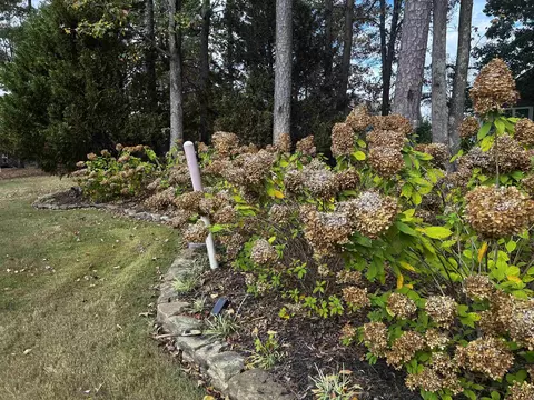 16 Jennifer Junction St, Iuka, MS 38852 photo 32