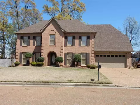 8902 Gooseberry Cv, Memphis, TN 38016