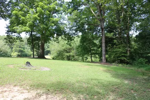 945 Ymca Ln, Counce, TN 38326 photo 18