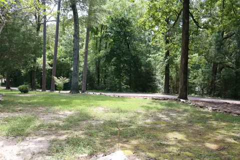 945 Ymca Ln, Counce, TN 38326 photo 19