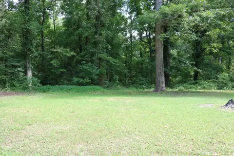 945 Ymca Ln, Counce, TN 38326 photo 14