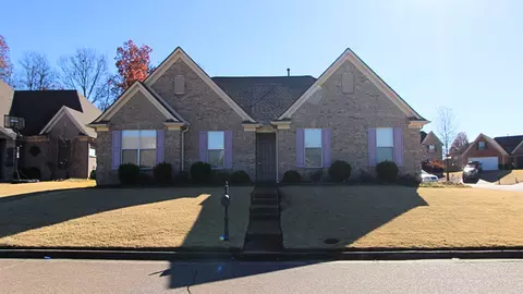 10215 Brimhill Cv, Cordova, TN 38016