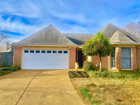 1167 Junco Cv, Collierville, TN 38017