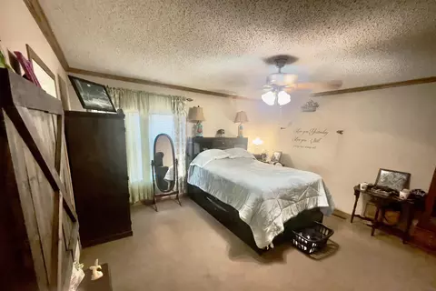 110 Rolling Brook Dr, Somerville, TN 38068 photo 8