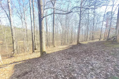 110 Rolling Brook Dr, Somerville, TN 38068 photo 19