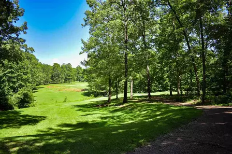 160 Vantage Pt, Counce, TN 38326 photo 3