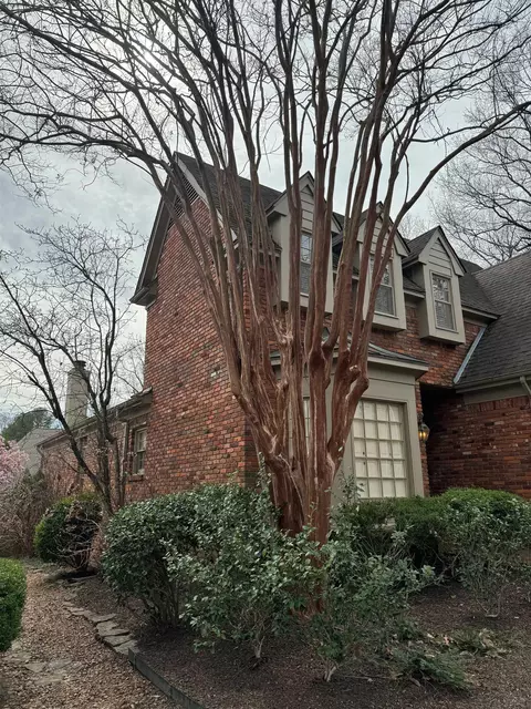 5097 Greenway Cv, Memphis, TN 38117