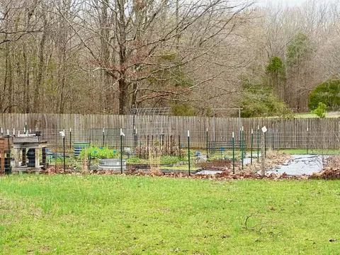 View/Area - 282 Ebenezer Loop, Somerville, TN 38068 photo 3 of 3