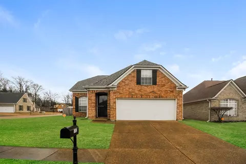 1742 Southall St S, Cordova, TN 38016