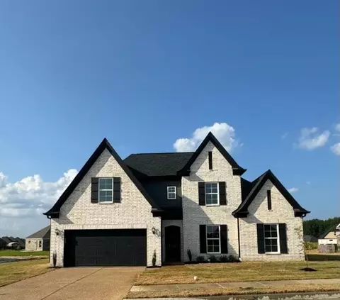 5520 Briardale Dr, Memphis, TN 38125