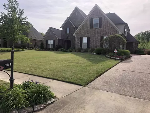 6015 Windsor Oak Dr, Arlington, TN 38002