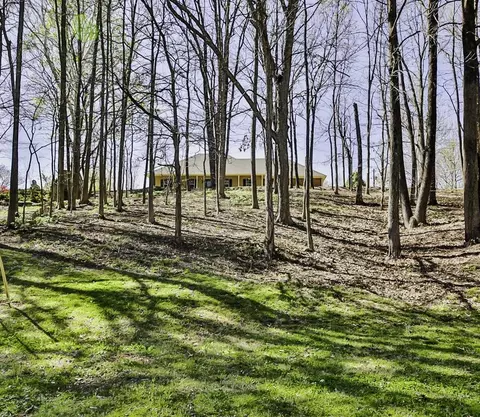 View/Area - 175 Abby Rd, Drummonds, TN 38023 photo 3 of 4