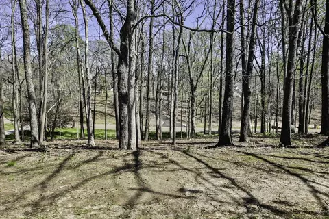 View/Area - 175 Abby Rd, Drummonds, TN 38023 photo 2 of 4