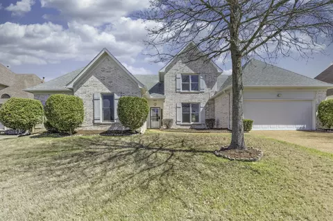 4838 Fox Springs Dr, Collierville, TN 38017