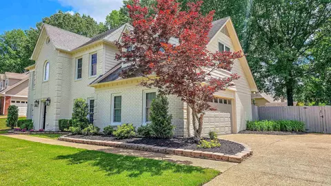 319 Nolley Dr E, Collierville, TN 38017 photo 4