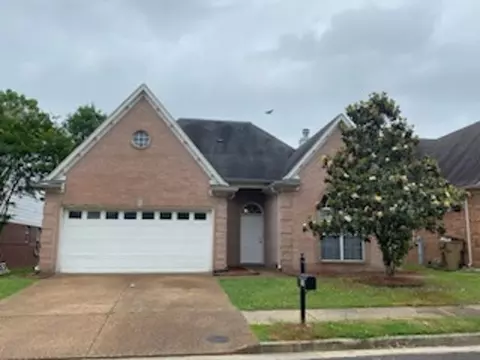 9161 Chastain Pl, Cordova, TN 38018