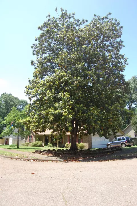 Undisclosed, Bartlett, TN 38134 photo 3