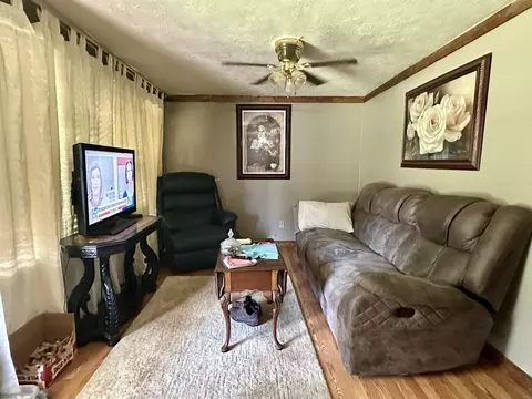 711 Ramer Selmer Rd, Ramer, TN 38367 photo 2