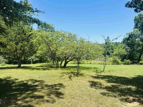 446 Gay Thompson Rd, Ramer, TN 38367 photo 30