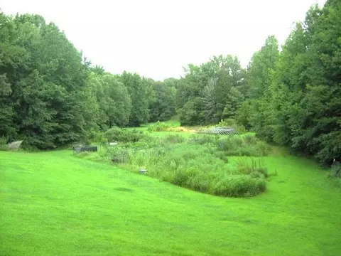 440 Ebenezer Loop, Somerville, TN 38068 photo 34