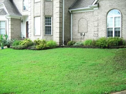 440 Ebenezer Loop, Somerville, TN 38068 photo 3