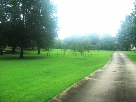 440 Ebenezer Loop, Somerville, TN 38068 photo 2