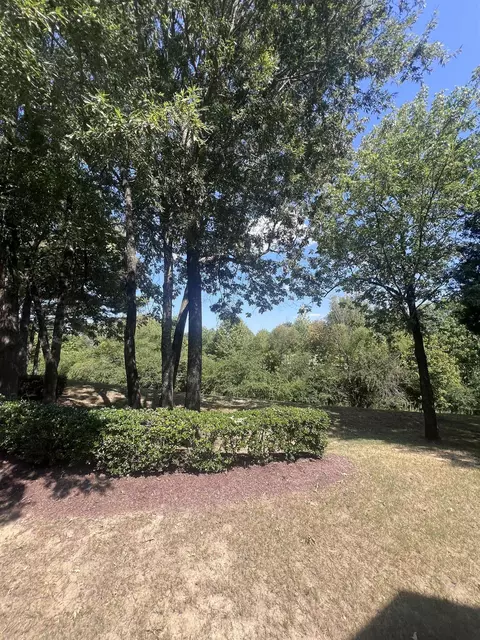 300 Oak Bluff Ln #76, Collierville, TN 38017 photo 4