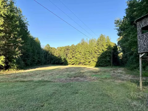 580 Cowan Loop, Moscow, TN 38057 photo 28