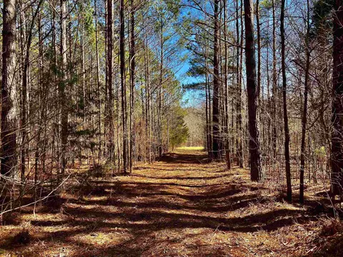 580 Cowan Loop, Moscow, TN 38057 photo 35