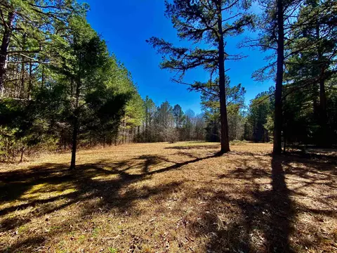 580 Cowan Loop, Moscow, TN 38057 photo 33