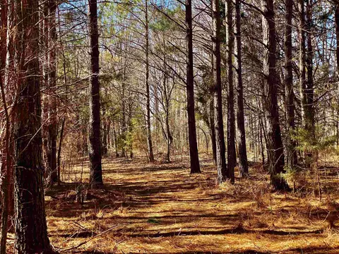 580 Cowan Loop, Moscow, TN 38057 photo 34