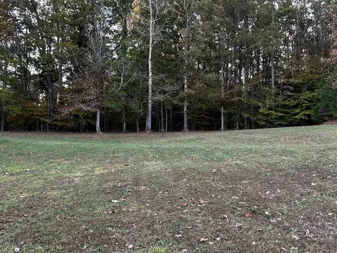 437 Wayne Elam Rd, Ramer, TN 38367 photo 8