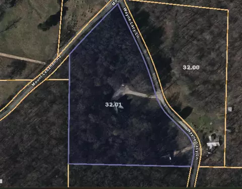 88 Wayne Lacy Ln, Decaturville, TN 38329