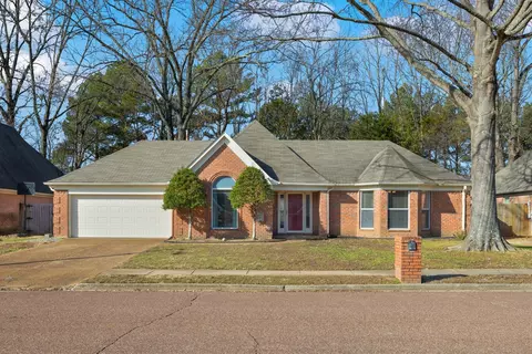 917 Wildbird Cv, Collierville, TN 38017