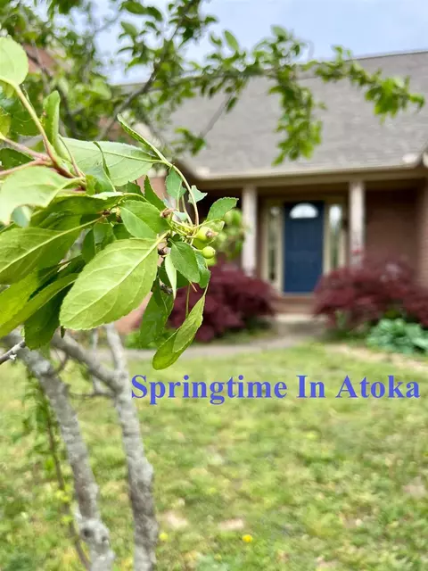 380 Bethel Rd, Atoka, TN 38004
