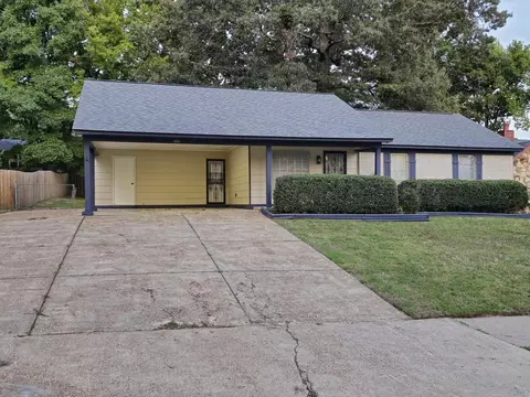 3950 Esperance St, Bartlett, TN 38135 photo 24