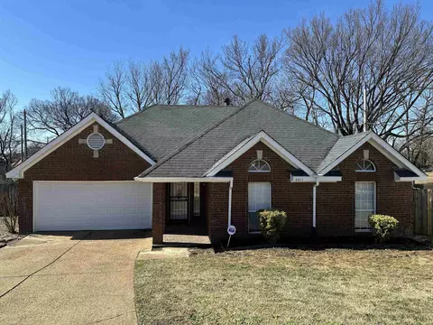 6611 Nelson Way Dr, Memphis, TN 38141