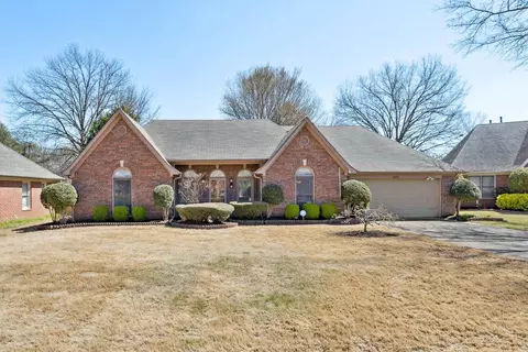 1036 Cotton Row Cv, Collierville, TN 38017
