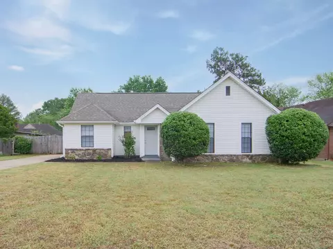 3916 Birchshade Cv, Memphis, TN 38115