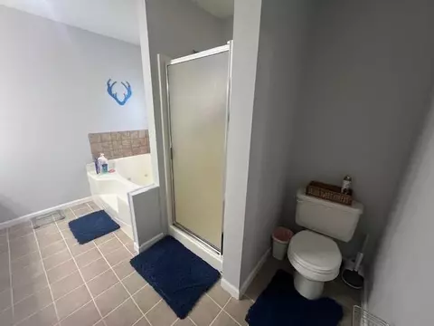 Bath - 2938 Simmons Rd, Drummonds, TN 38023 photo 2 of 2