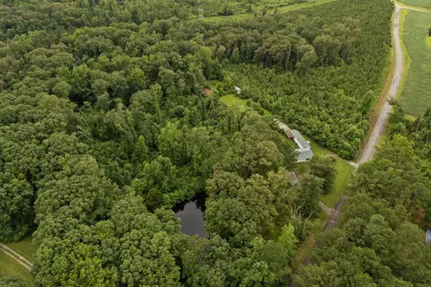 View/Area - 6240 Ebenezer Loop, Somerville, TN 38068 photo 2 of 3