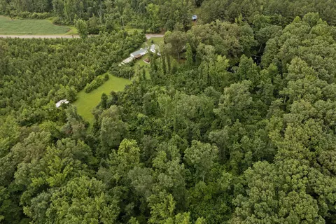 View/Area - 6240 Ebenezer Loop, Somerville, TN 38068 photo 3 of 3