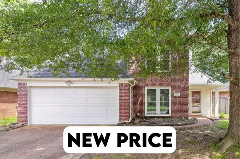 157 Dudney Mead Cv, Collierville, TN 38017