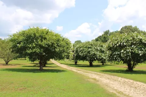 8055 Highway 87 Hwy W, Henning, TN 38041