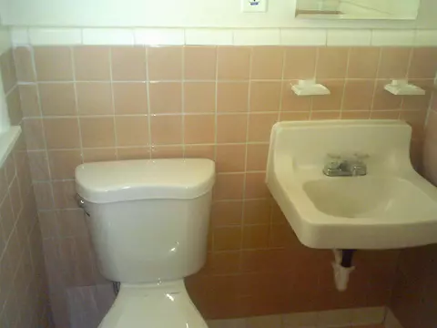 Bath - 253 E Raines Rd, Memphis, TN 38109 photo 2 of 2