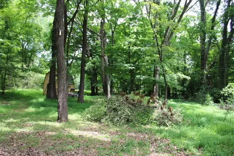 170 Highland St, Ripley, TN 38063