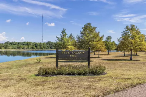 8215 White Wing Ln, Arlington, TN 38002 photo 30